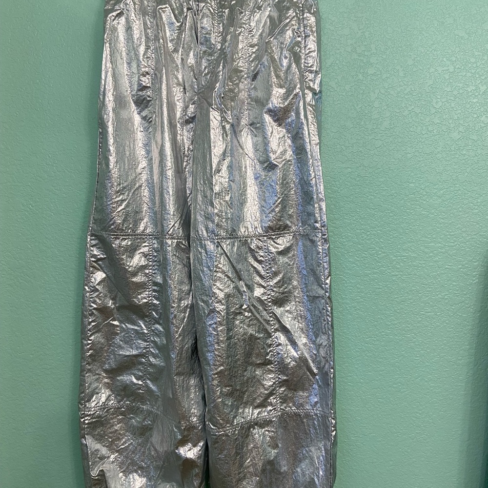 Zara Silver Metallic Pants